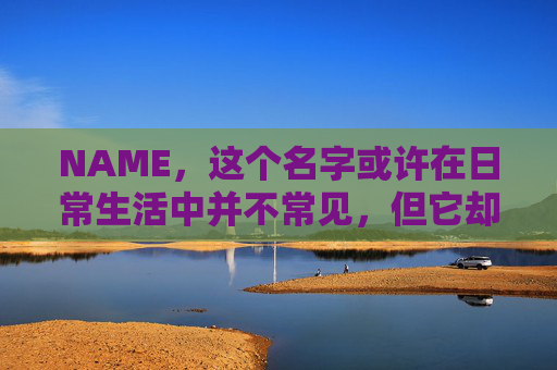 NAME，这个名字或许在日常生活中并不常见，但它却在某些领域里扮演着重要的角色。今天，让我们一起来探索这个名字背后的故事和意义